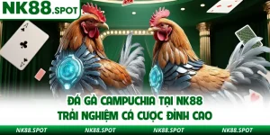 Đá gà Campuchia